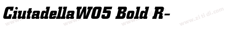 CiutadellaW05 Bold R字体转换